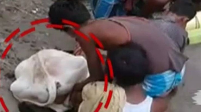 ब्रह्मपुत्र नदी से असम टू बांग्लादेश गौ तस्करी का हैरान करने वाला खुलासा - देखें वीडियो