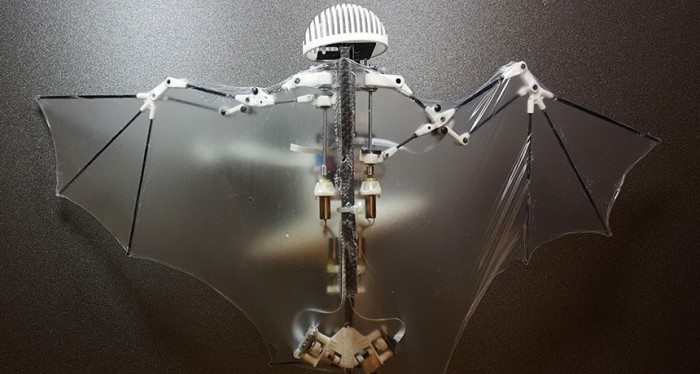 Bat Bot- The Acro'Bat'ic Robot That Mimics Bat's Flying Maneuvers 