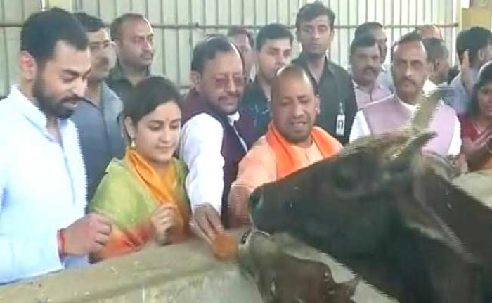 मुलायम के बहु-बेटे के बुलावे पर योगी पहुंचे कान्हा उपवन - क्या है मुलाकातों का मकसद