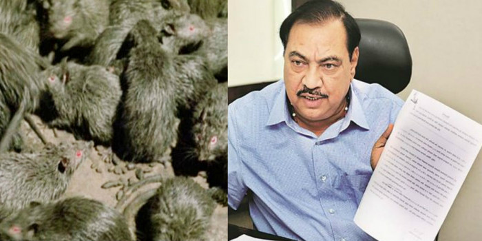 महाराष्ट्र में हुआ चूहा घोटाला, भाजपा नेता खडसे ने मुख्यमंत्री से पूछे सवाल