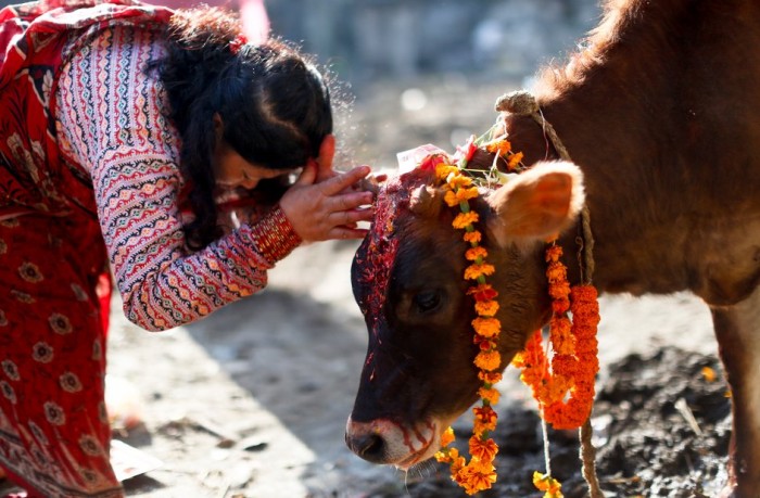 15 Animal Worship Rituals from Different Cultures