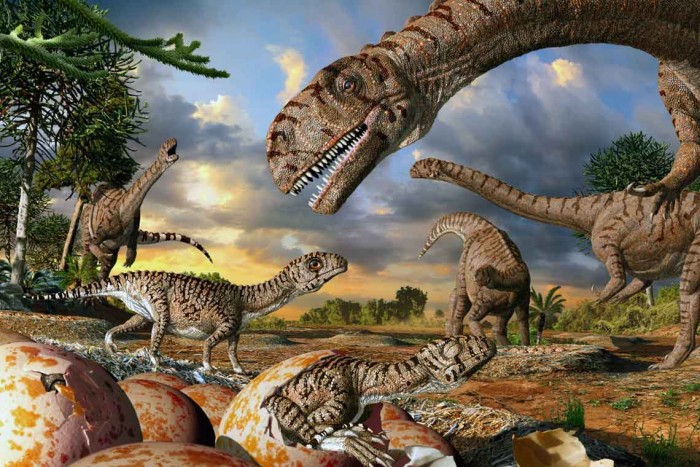 10 Dinosaurs Unsolved Mysteries Which Are Lost In The World