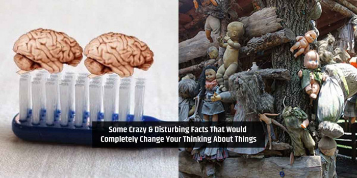  10 Disgusting and Disturbing Facts That Will Leave You Agape