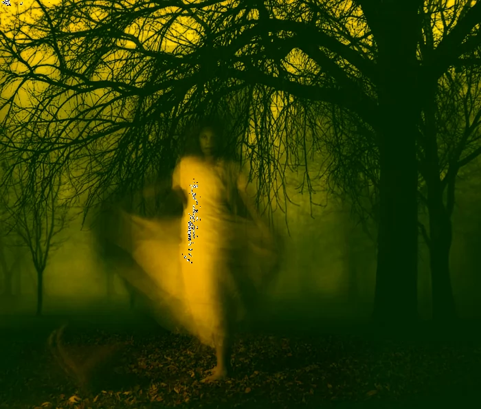 10 Evidences Of Ghost Encounters Ever Recorded