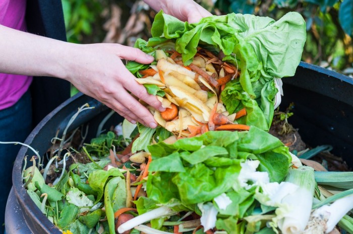 10 Facts About Food Waste You Didn’t Pay Attention Too