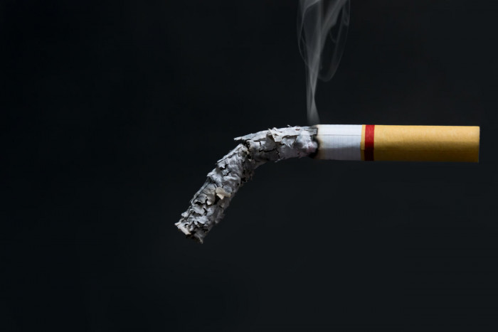 10 Facts About Tobacco That You Should Know