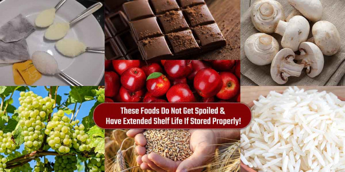 10 Foods That Don’t Go Bad for Years When Stored the Right Way