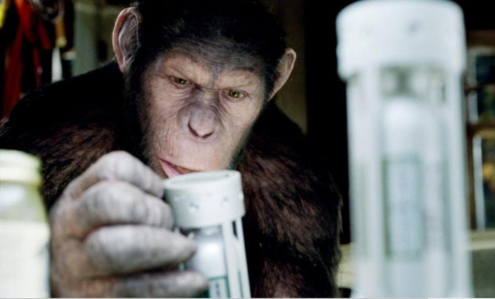 10 Most Intelligent Animals You Never Knew About