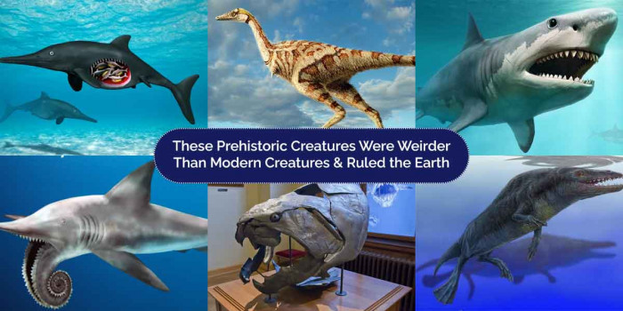 10 Prehistoric Creatures Other Than Dinosaurs That Could Leave You Petrified