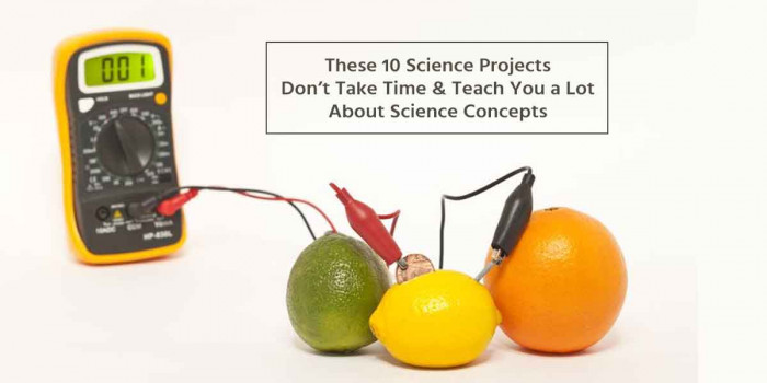10 Science Projects That are Easier & More Fun to Do With Kids