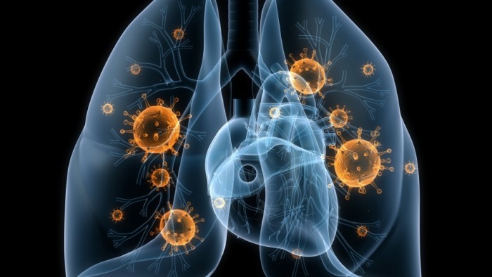 10 Surprising Facts About Human Lungs That Your Biology Teacher Didn’t Tell You