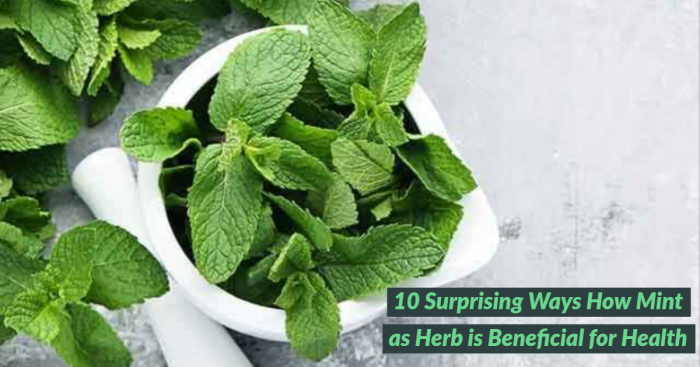 10 Surprising Ways How Mint as Herb is Beneficial for Health