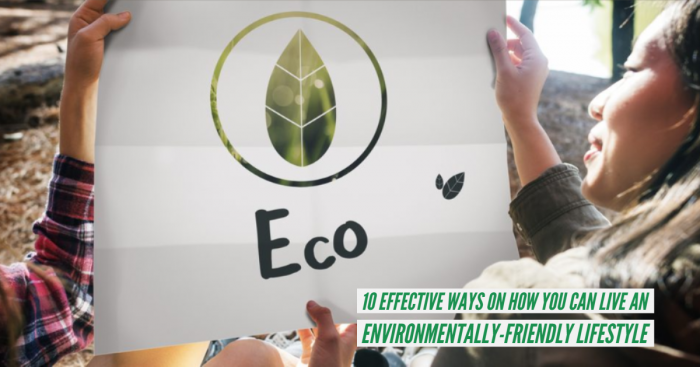 10 Ultimate Tips Everyone Should Follow to Lead an Eco-Friendly Lifestyle