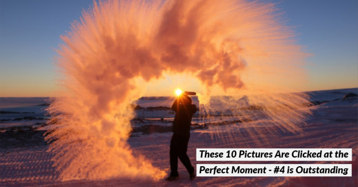 10 Unique and Stunning Pictures That are Shot at the Perfect Time