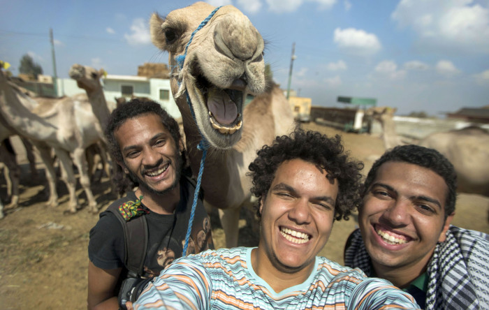 15 Animal Photobombs That Will Capture Your Heart 