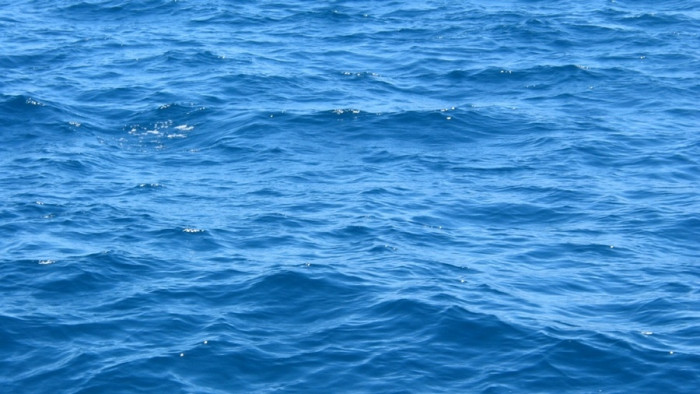 15 Interesting Facts About Water & Water Conservation You Should Know