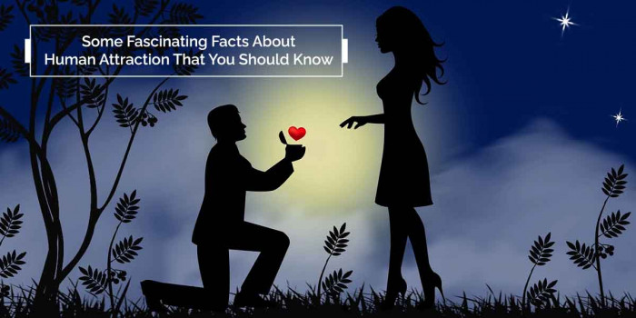 17 Facts About Human Attraction That Would Leave You Amazed 
