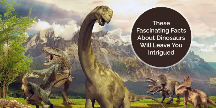 17 Mind-Blowing Facts About Dinosaurs That Will Leave You Intrigued