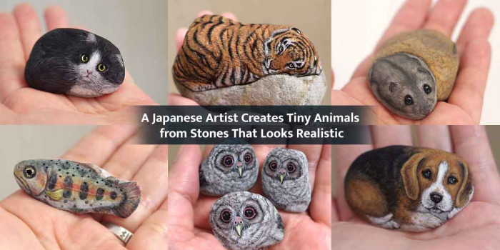 20 Phenomenally Painted Palm-Sized Stone Animals That Look Life-Like But Are Not