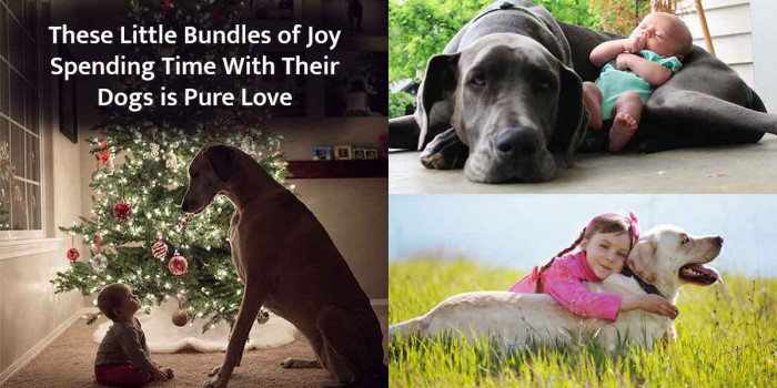 20 Pictures of Kids With Their Dogs That Would Bring Smile on Your Face 