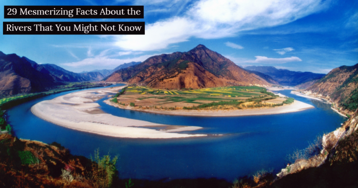 29 Most Interesting River Facts That Are Sure to Leave You Amazed