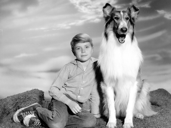 5 Most Sentimental Facts About Lassie The Dog