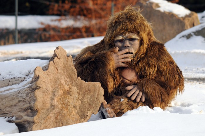 5 Most Terrible Bigfoot Encounters