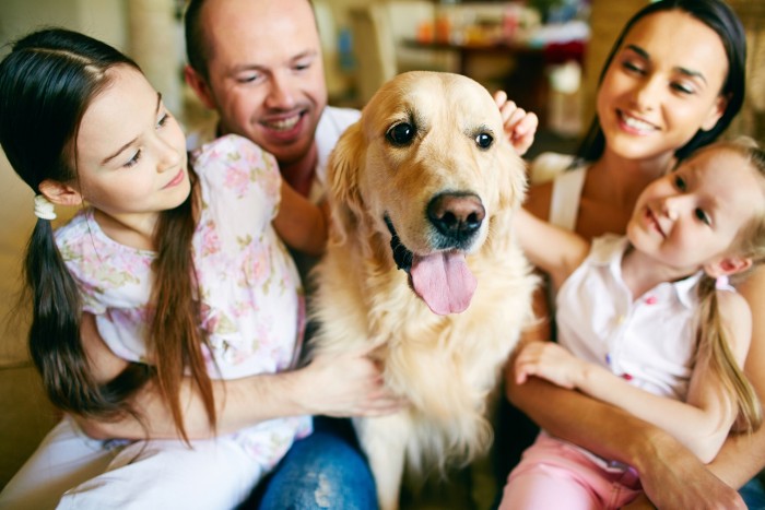 8 Most Common Traits Every Pet Owner Shares
