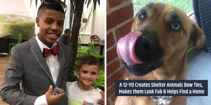 A 12-YO Makes Shelter Animals Cool Bow Ties, Helps Them Get Adopted