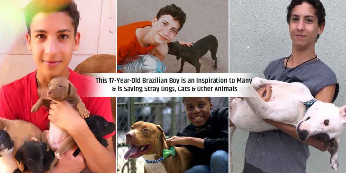 A 17-YO Boy Owns an Animal Shelter and Has Rescued 22 Dogs & 4 Cats