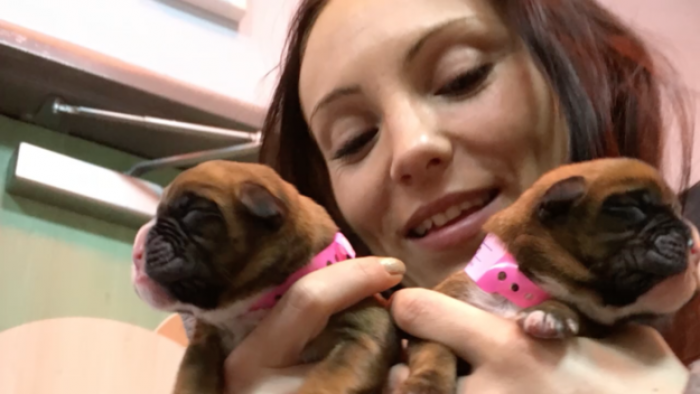 A Couple Did This Bizarre Job Of Cloning Their Dead Dog