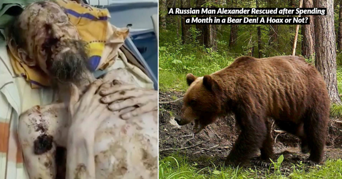 A Rare Skin Condition or an Attack by a Brown Bear – What’s the Truth?