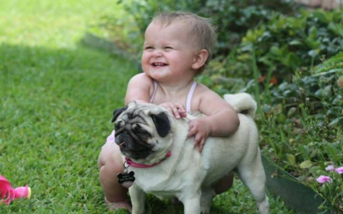 Adorable pet which eats together! Sleep together! Plays together!