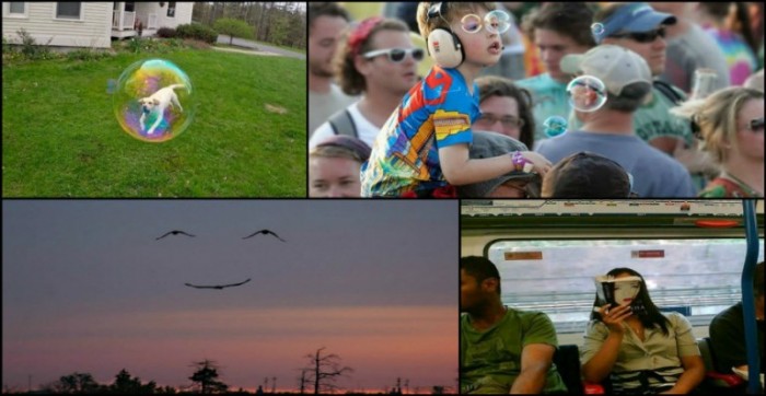 Amazing Photographs Taken With Perfect Timing