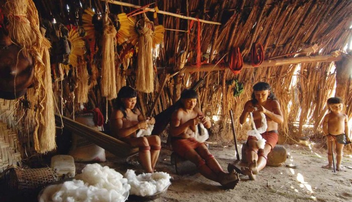 An Insight Into The Human Life Of Amazon Rainforest