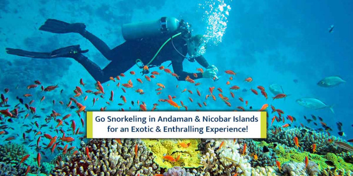 Andaman & Nicobar Islands: A Heavenly Destination for Snorkeling Lovers