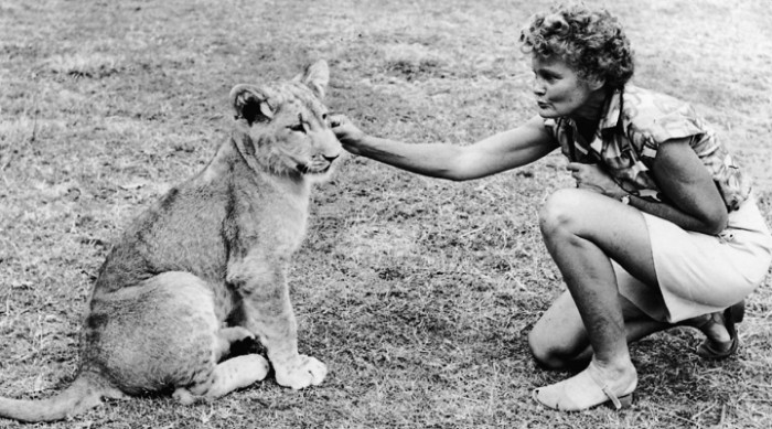 10 Animals in History Who Became Famous for Their Unforgettable Wit & Grit