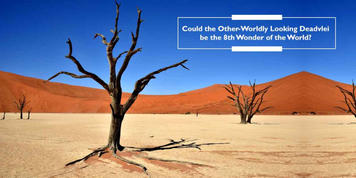Deadvlei: The Spooky Yet Stunning Place That is Worth Visiting