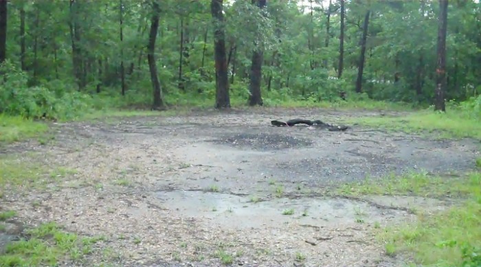 Devil’s Tramping Ground In North Carolina - A Home Of Devils