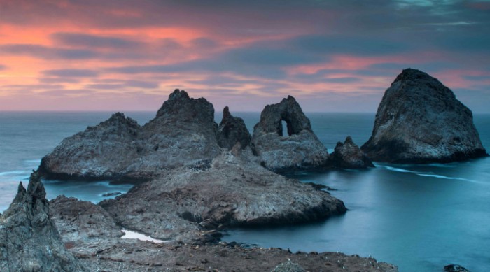 Farallon Islands - A Visit to Seabirds & Great White Sharks
