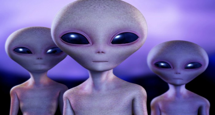 Grey Aliens Evidence - Reality or Fantasy !! Still a Muddled Statement