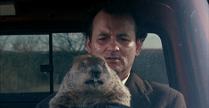 Groundhog Day | A Festival Where Groundhogs Predict The Weather