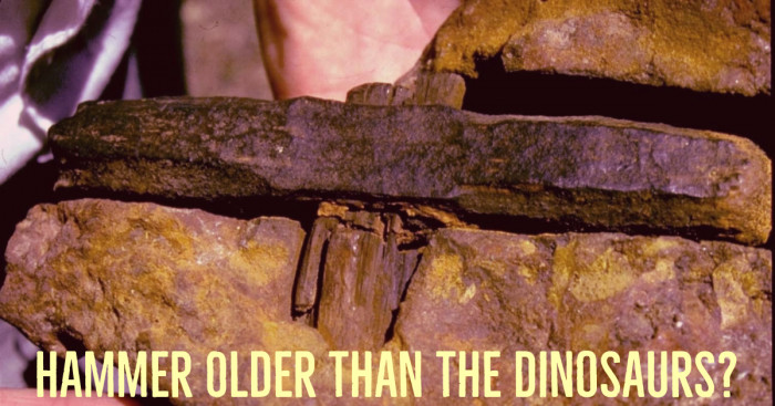 Hammer Older Than The 250 Million Years Old Dinosaur Itself
