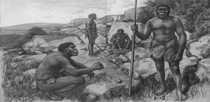 Homo Rhodesiensis: The Oldest Primate That Shows Occurrence of Tooth Cavities
