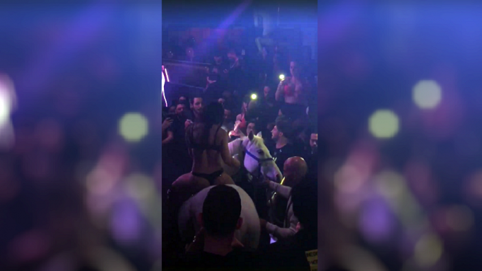 Horse Throws Bikini-Clad Woman Making An ‘Entrance’ In A Miami Club