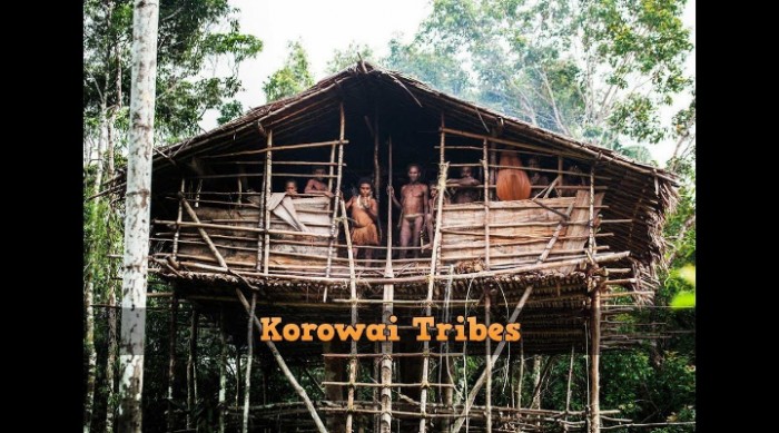 Korowai Tribes and Their Incredible Tree Houses