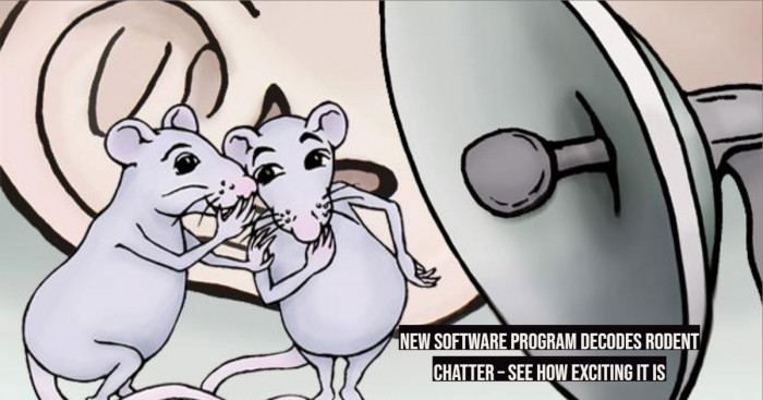 New Software Program Decodes Rodent Chatter – See How Exciting It Is