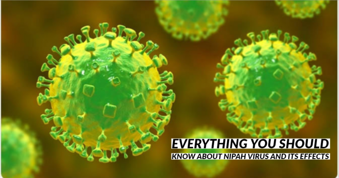 Nipah Virus (NiV): A Contagious Disease You Should be Aware of