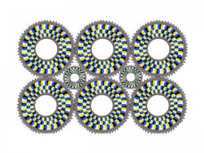 OMG – Optical Illusion will surely make you look same pic Twice or even Thrice