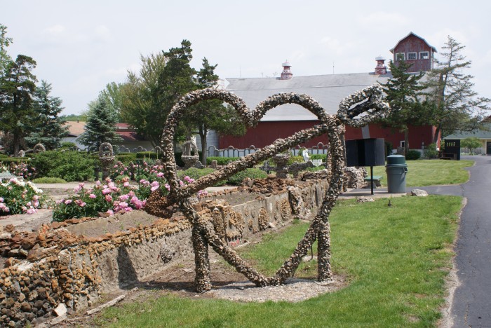 Rockome Gardens Is Now A Wildlife Adventure With Around 150 Exotic Animals